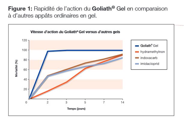 efficacite du gel insecticide golitah gel contre les cafards et blattes.