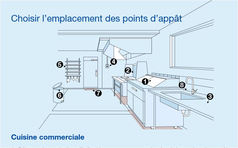 emplacement des points appats goliath gel dans une cuisine professionnelle
