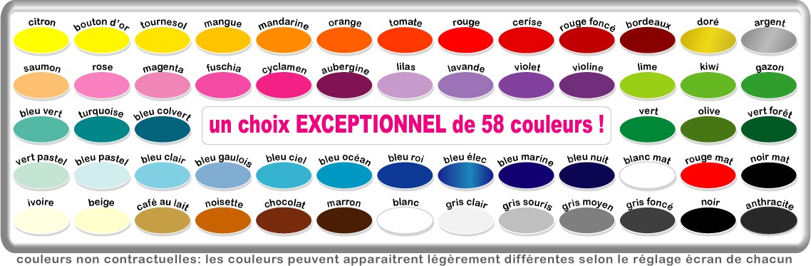 nuancier adhésif professionnel 58 couleurs Quicom LooStick
